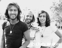 Bee Gees Barry Gibb Robin Gibb Maurice Gibb Andy Gibb Rock Photo ...